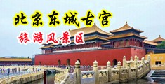 啊啊啊～好大～鸡巴～插我～视频～中国北京-东城古宫旅游风景区